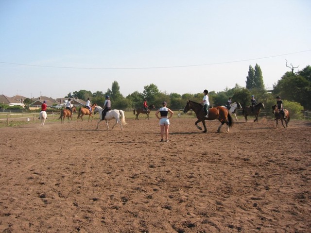 IMG_2445.JPG