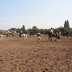 IMG_2445.JPG