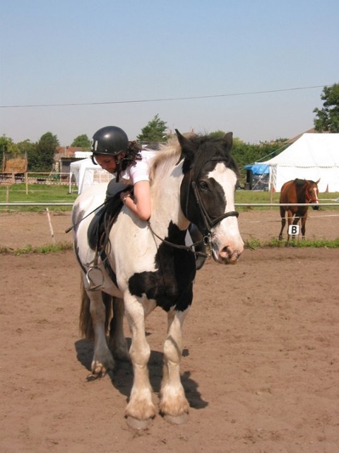 IMG_2485.JPG