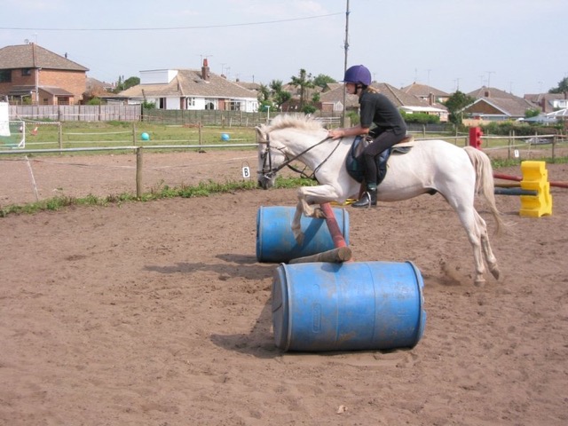 IMG_2524.JPG