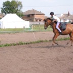 IMG_2531.JPG