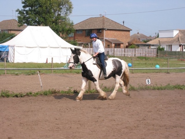 IMG_2533.JPG