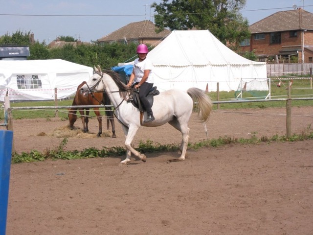 IMG_2537.JPG