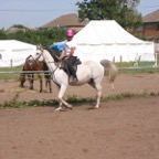 IMG_2537.JPG