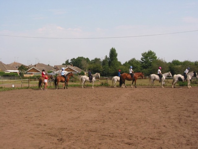 IMG_2545.JPG