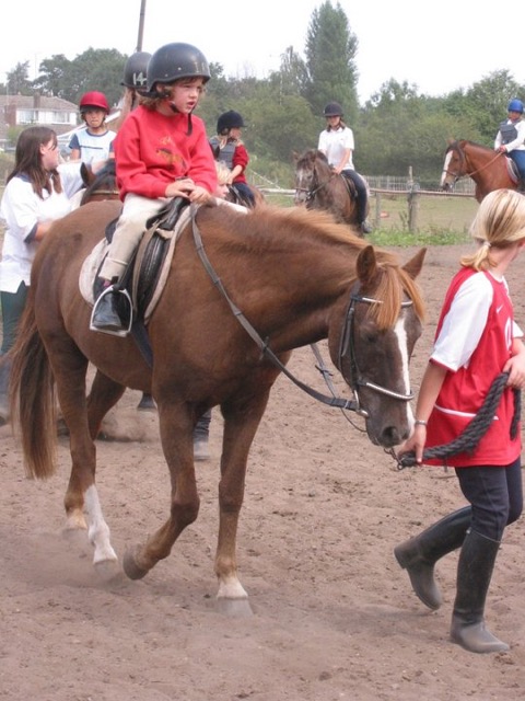 IMG_2563.JPG