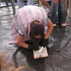 IMG_2649.JPG