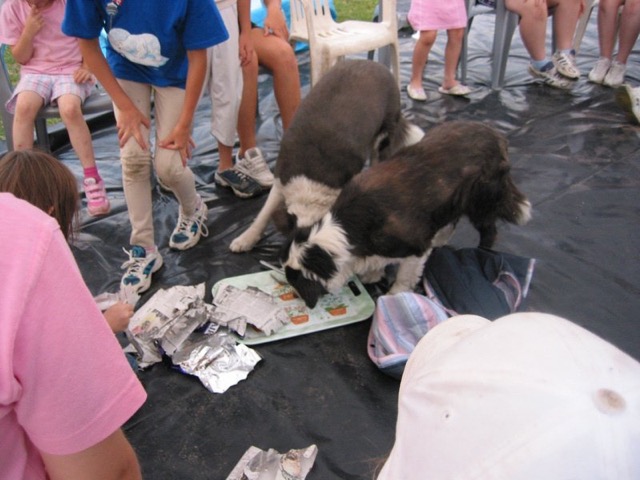 IMG_2667.JPG