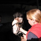 IMG_3664.JPG