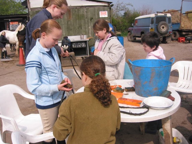 IMG_4327.JPG