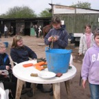 IMG_4379.JPG