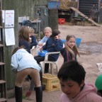 IMG_4387.JPG