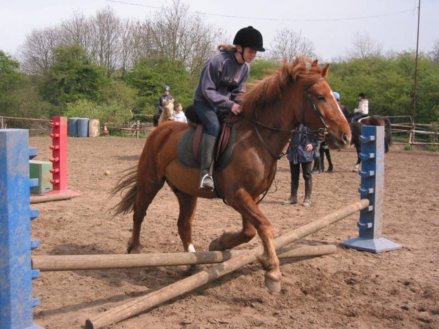 IMG_4435.JPG