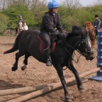 IMG_4436.JPG