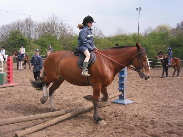 IMG_4440.JPG