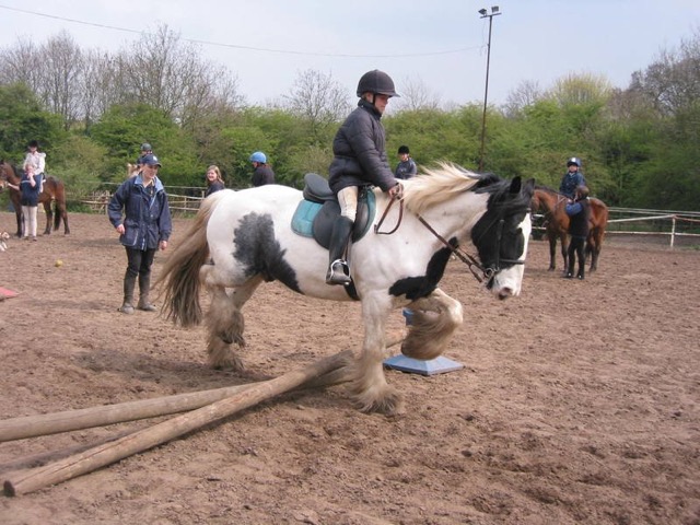 IMG_4441.JPG