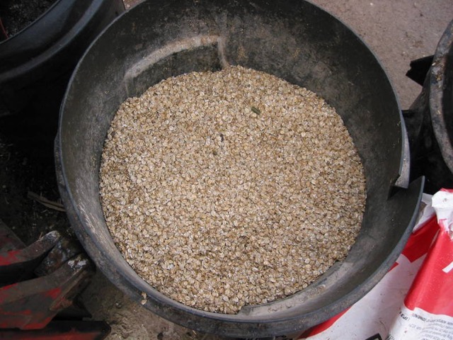 IMG_4488.JPG