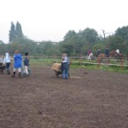IMG_5386.JPG
