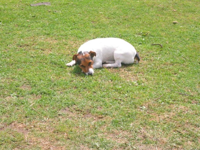 IMG_5434.JPG