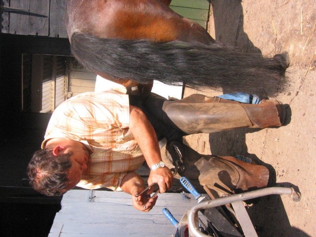 IMG_5462.JPG