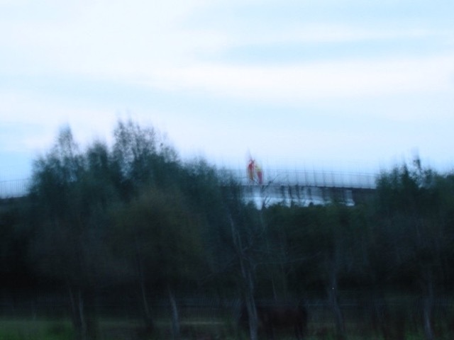 IMG_5546.JPG