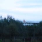IMG_5546.JPG
