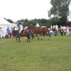 IMG_5840.JPG