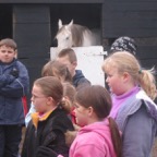 IMG_6440.JPG