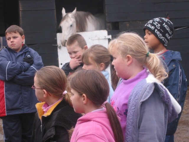 IMG_6442.JPG