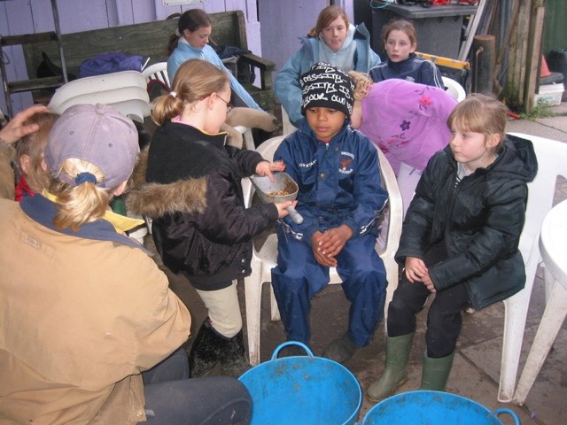 IMG_6481.JPG