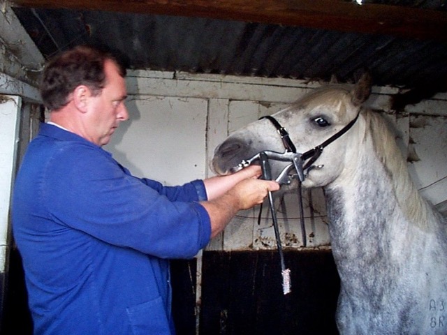 P000554.JPG