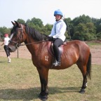 tn_IMG_2893.JPG