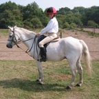 tn_IMG_2900.JPG