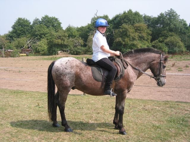 tn_IMG_2908.JPG