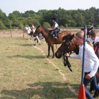 tn_IMG_2933.JPG