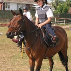 tn_IMG_2934.JPG