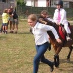 tn_IMG_2938.JPG