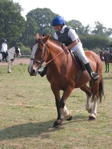tn_IMG_2940.JPG