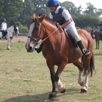 tn_IMG_2940.JPG