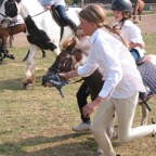 tn_IMG_2946.JPG