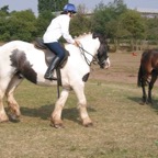 tn_IMG_2947.JPG