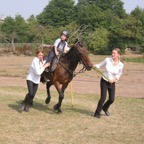 tn_IMG_2949.JPG