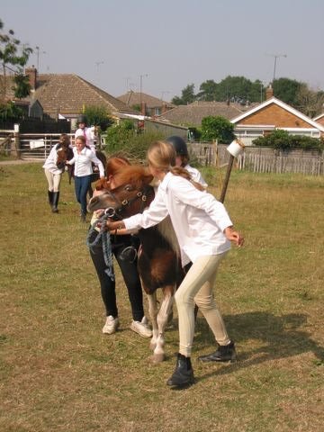 tn_IMG_2956.JPG