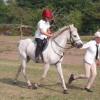 tn_IMG_2960.JPG