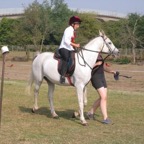 tn_IMG_2967.JPG