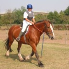 tn_IMG_2973.JPG