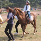 tn_IMG_2981.JPG