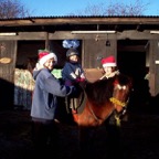 xmas0105.JPG