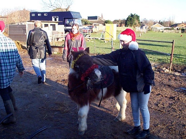 xmas0107.JPG