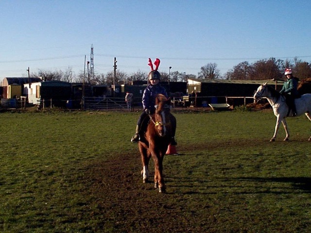 xmas0114.JPG